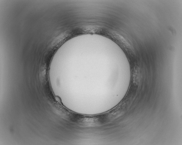 X0000115440314200911251251