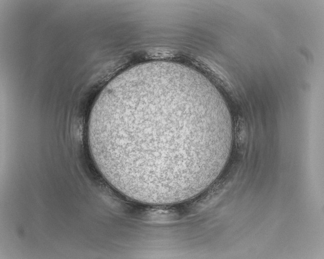 X0000115440315200911251251