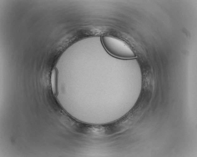 X0000115440317200911251251