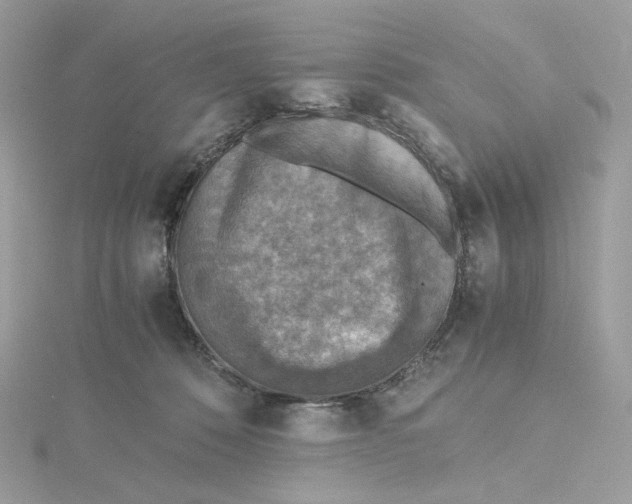 X0000115440320200911251251