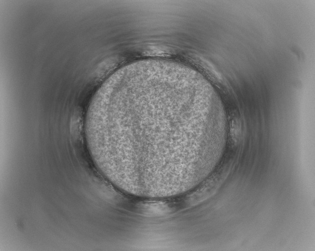 X0000115440322200911251251