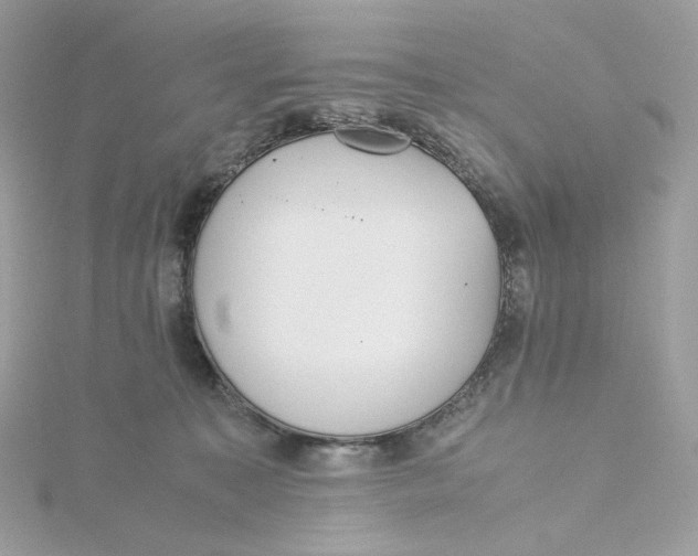 X0000115440323200911251251