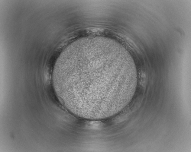 X0000115440324200911251251