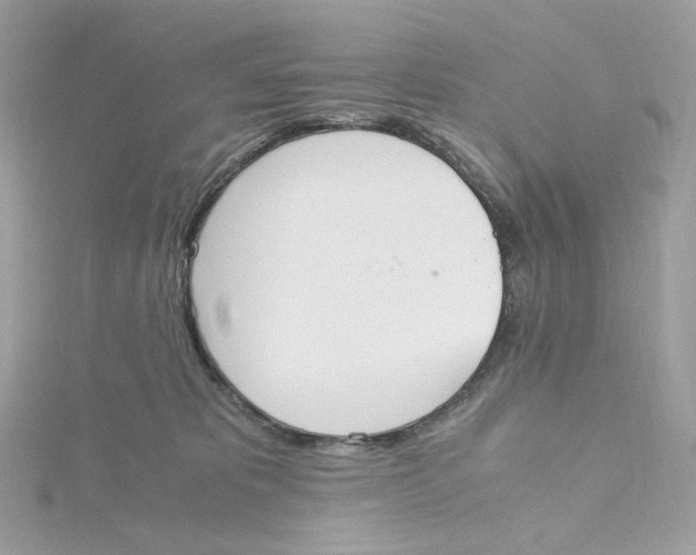 X0000115440325200911251251