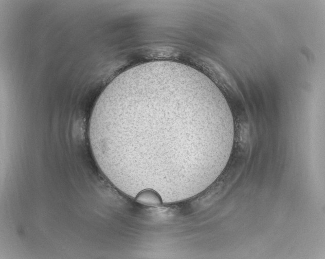 X0000115440326200911251251