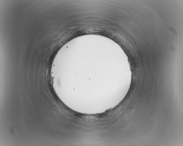 X0000115440327200911251251