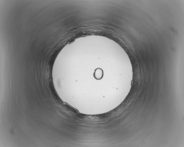 X0000115440328200911251251