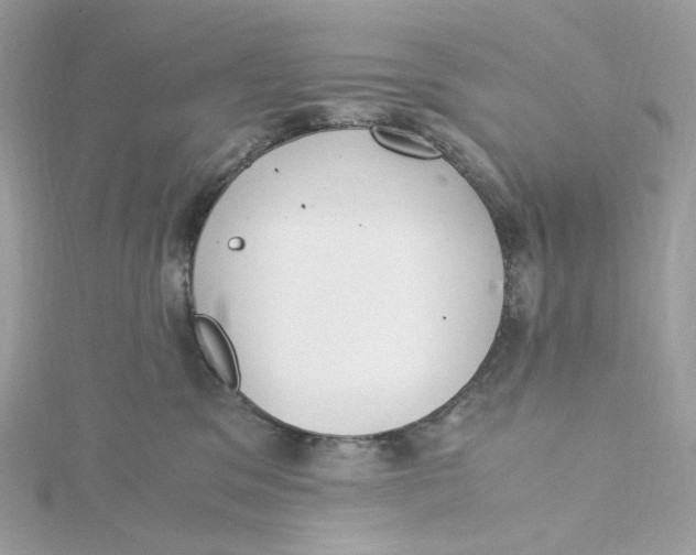 X0000115440329200911251251