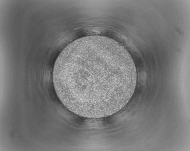 X0000115440331200911251251