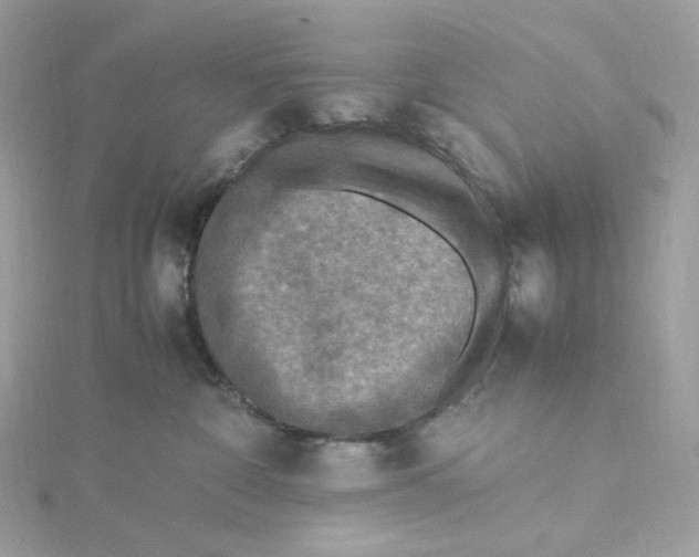 X0000115440332200911251251