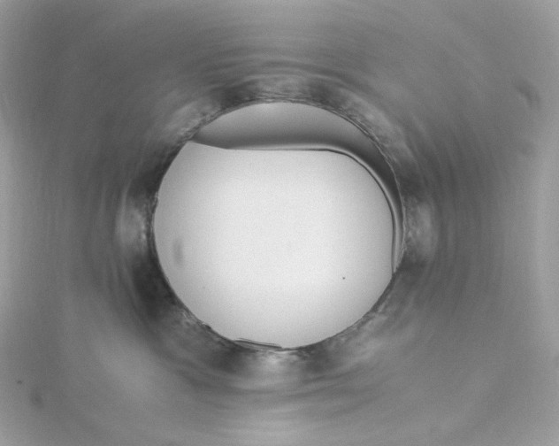 X0000115440333200911251251