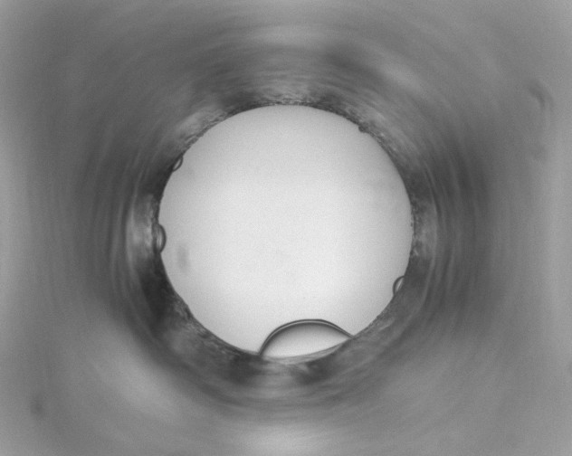 X0000115440334200911251251