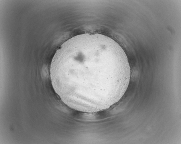 X0000115440335200911251251