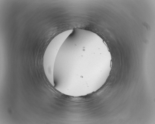 X0000115440336200911251251