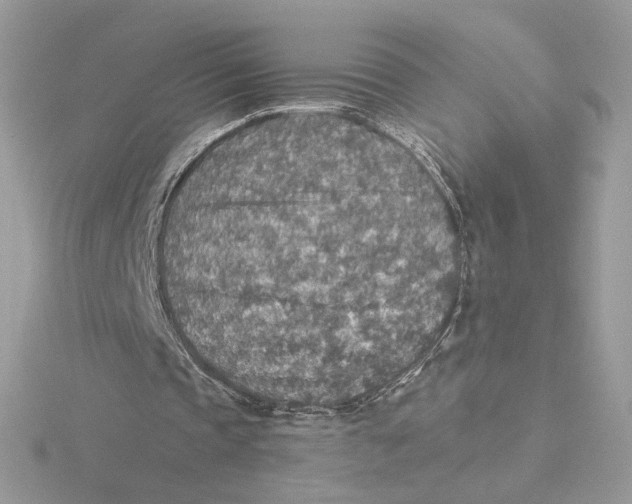 X0000115440337200911251250