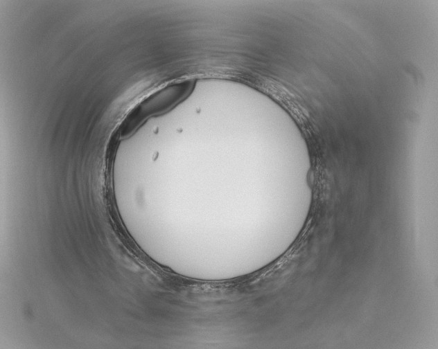 X0000115440338200911251250