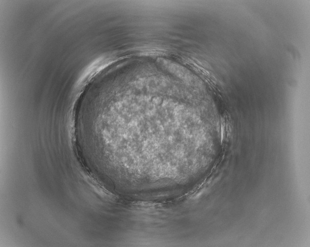 X0000115440339200911251250