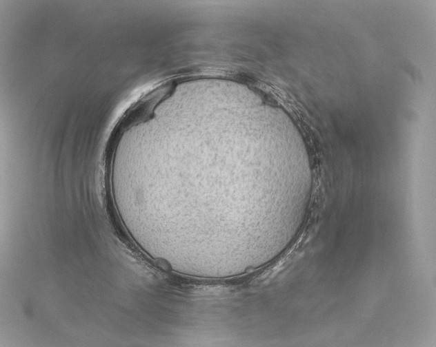 X0000115440342200911251250