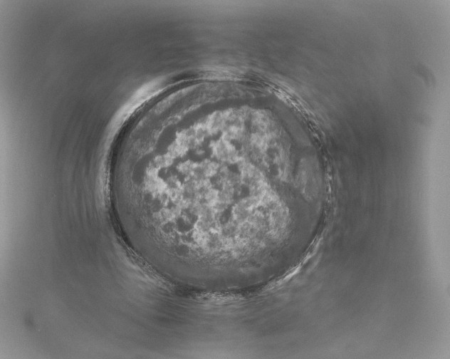 X0000115440343200911251250