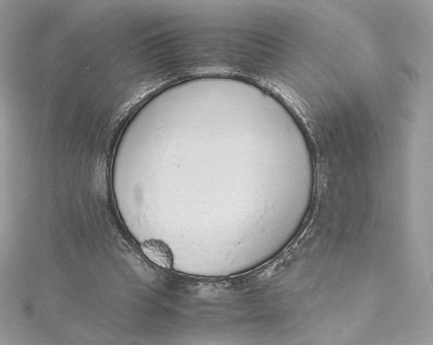 X0000115440345200911251250