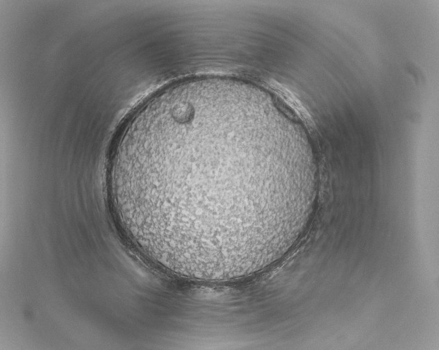 X0000115440346200911251250