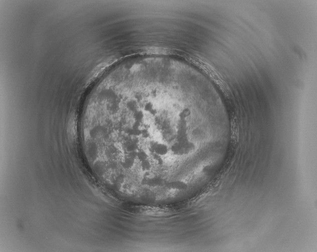 X0000115440347200911251250