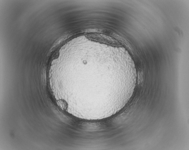 X0000115440349200911251250