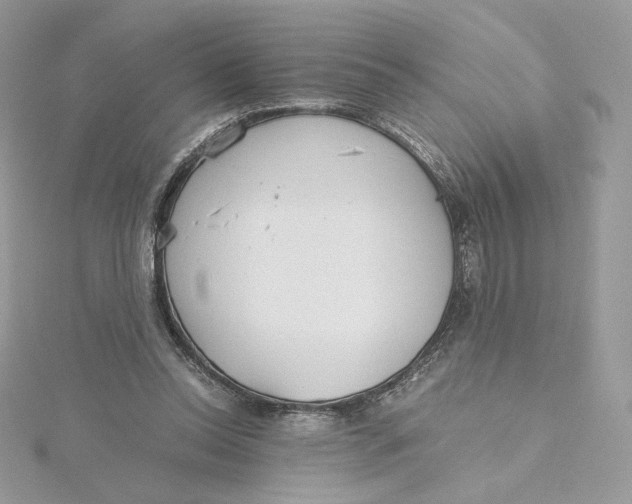 X0000115440350200911251250