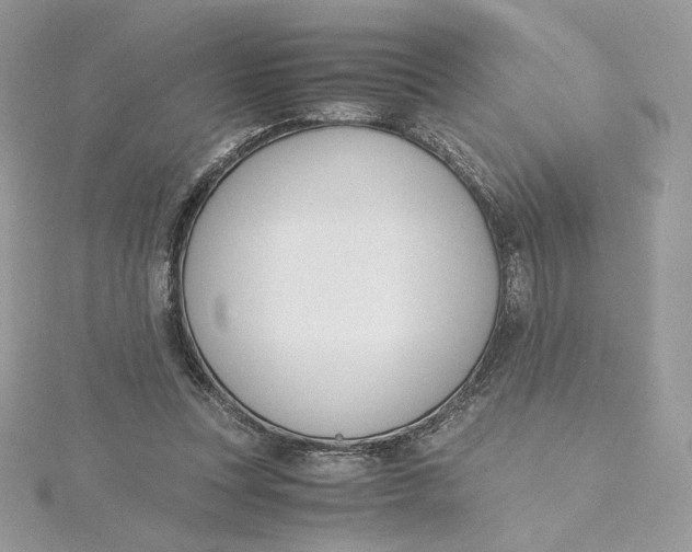 X0000115440351200911251250