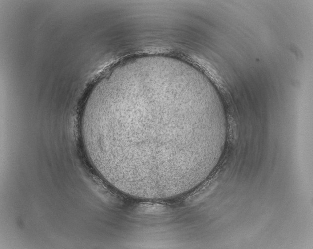 X0000115440354200911251250