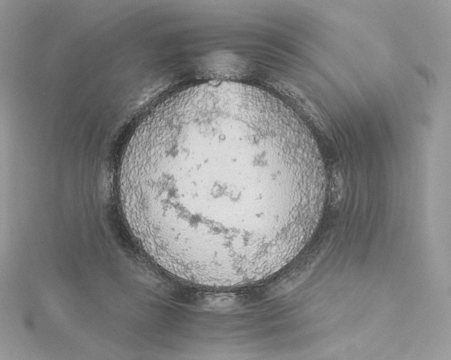 X0000115440355200911251250