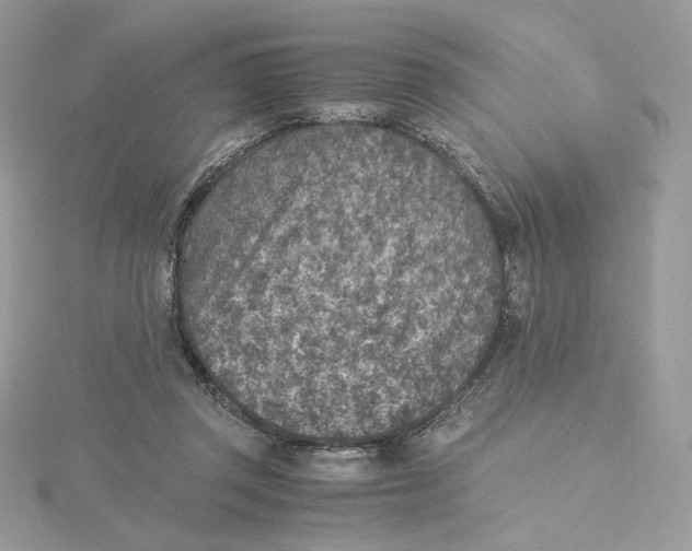 X0000115440357200911251250