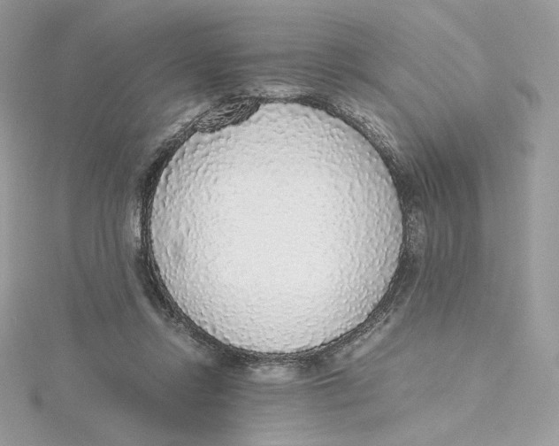 X0000115440358200911251250