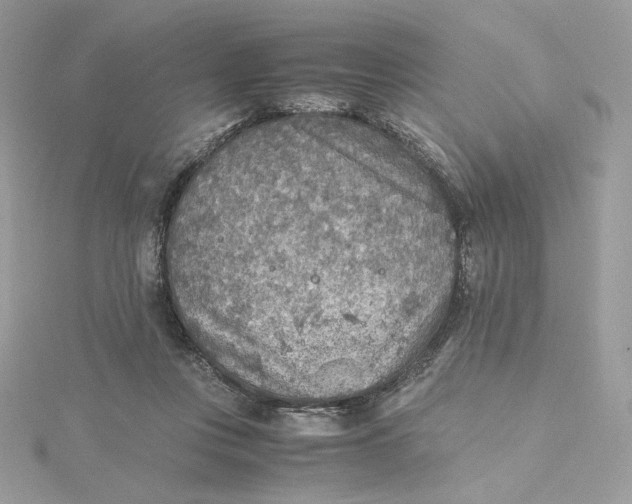 X0000115440359200911251250