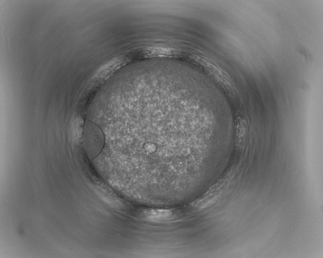 X0000115440361200911251250