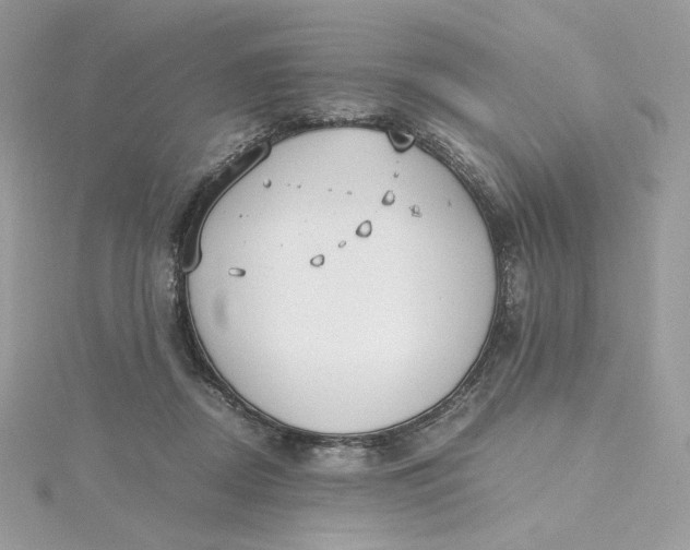 X0000115440362200911251250