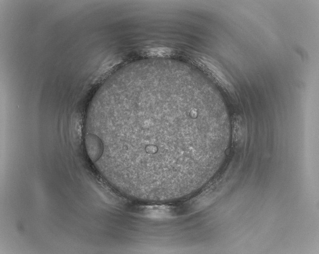 X0000115440363200911251250