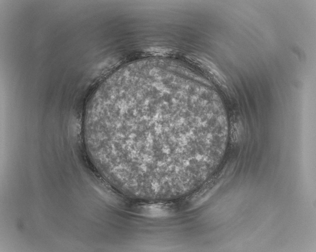 X0000115440365200911251250