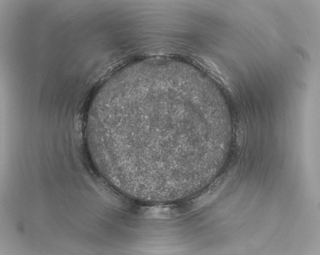 X0000115440366200911251250