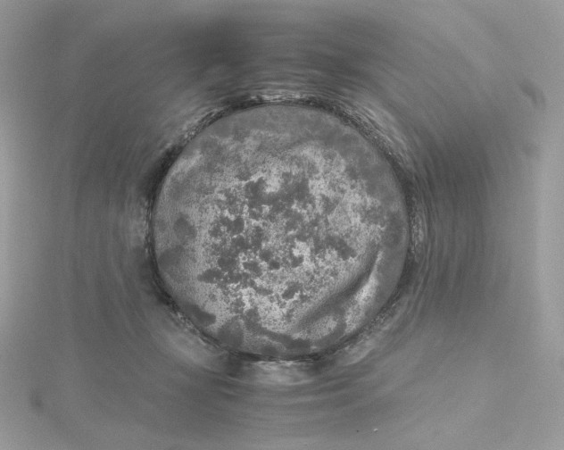 X0000115440367200911251250