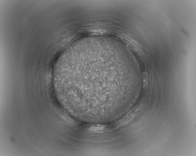 X0000115440369200911251251