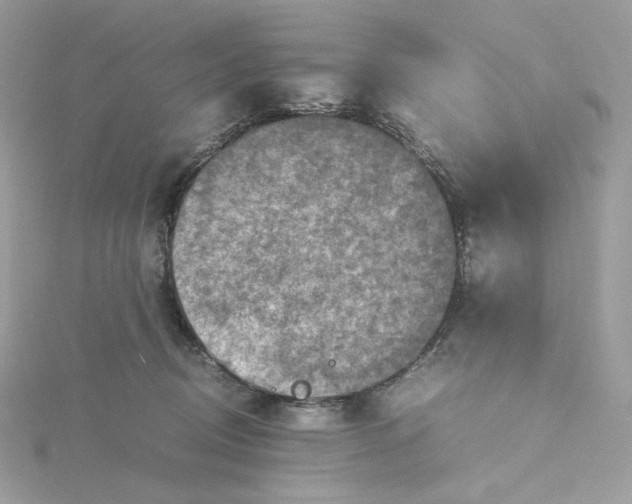 X0000115440370200911251251