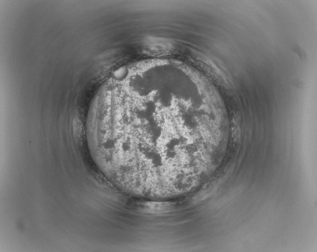 X0000115440371200911251251