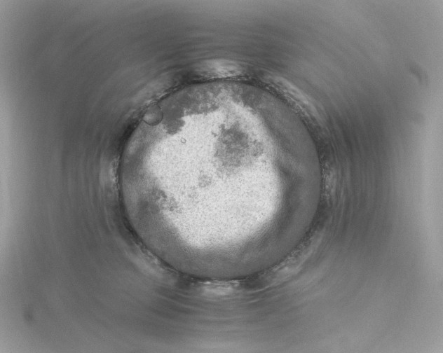 X0000115440373200911251251