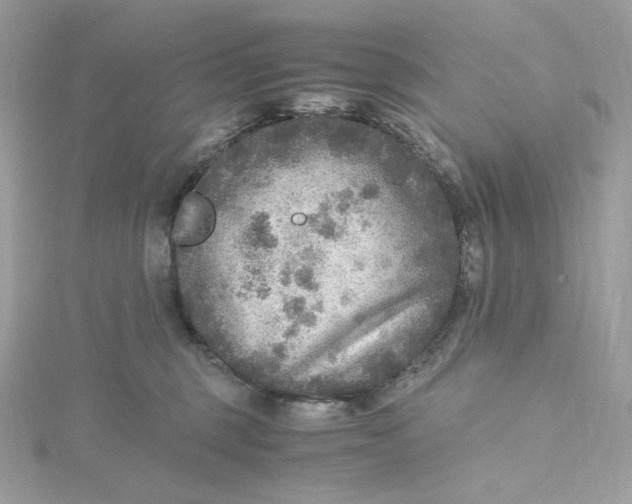 X0000115440375200911251251