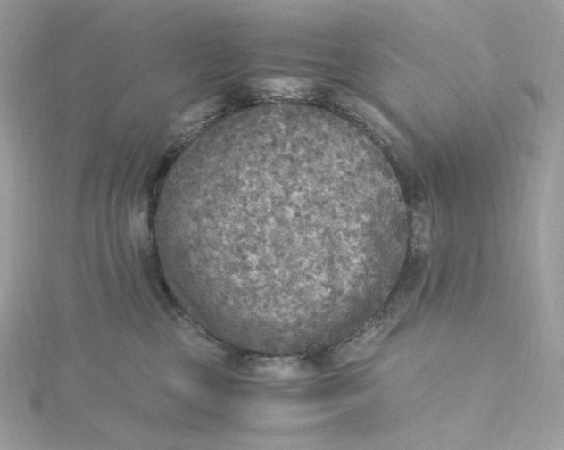 X0000115440377200911251251