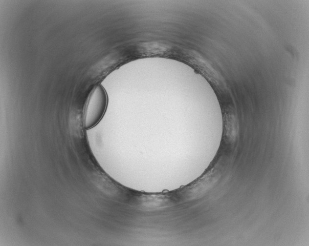 X0000115440378200911251251