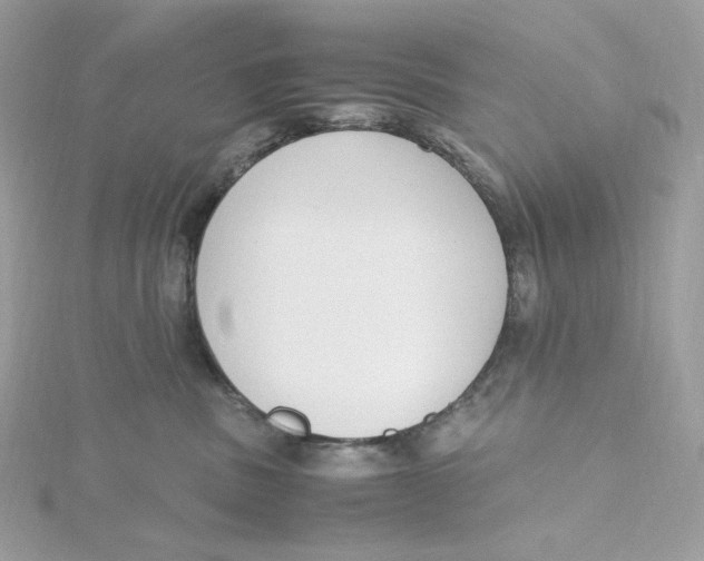 X0000115440379200911251251