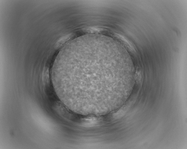 X0000115440381200911251251