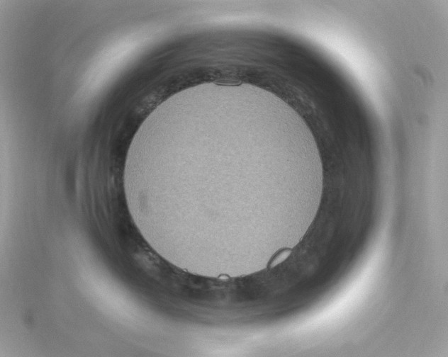 X0000115440382200911251251